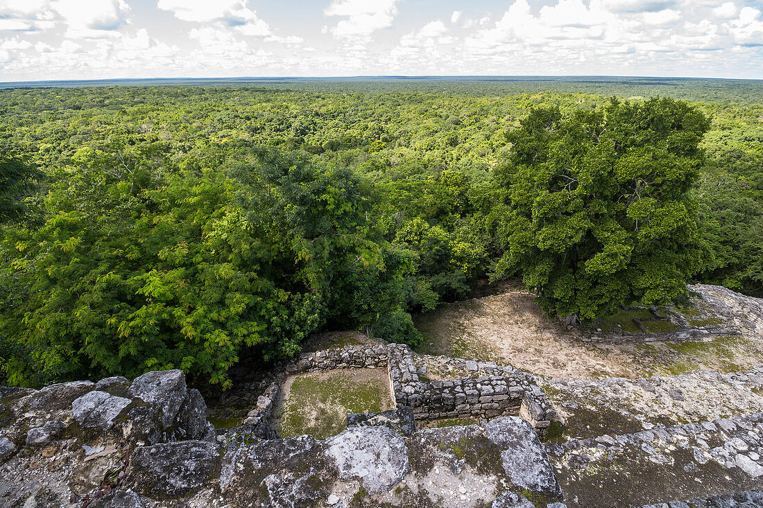 Aussicht auf Dschungel von Calakmul Tempel Gelände, Yucatan Halbinsel, Mexiko