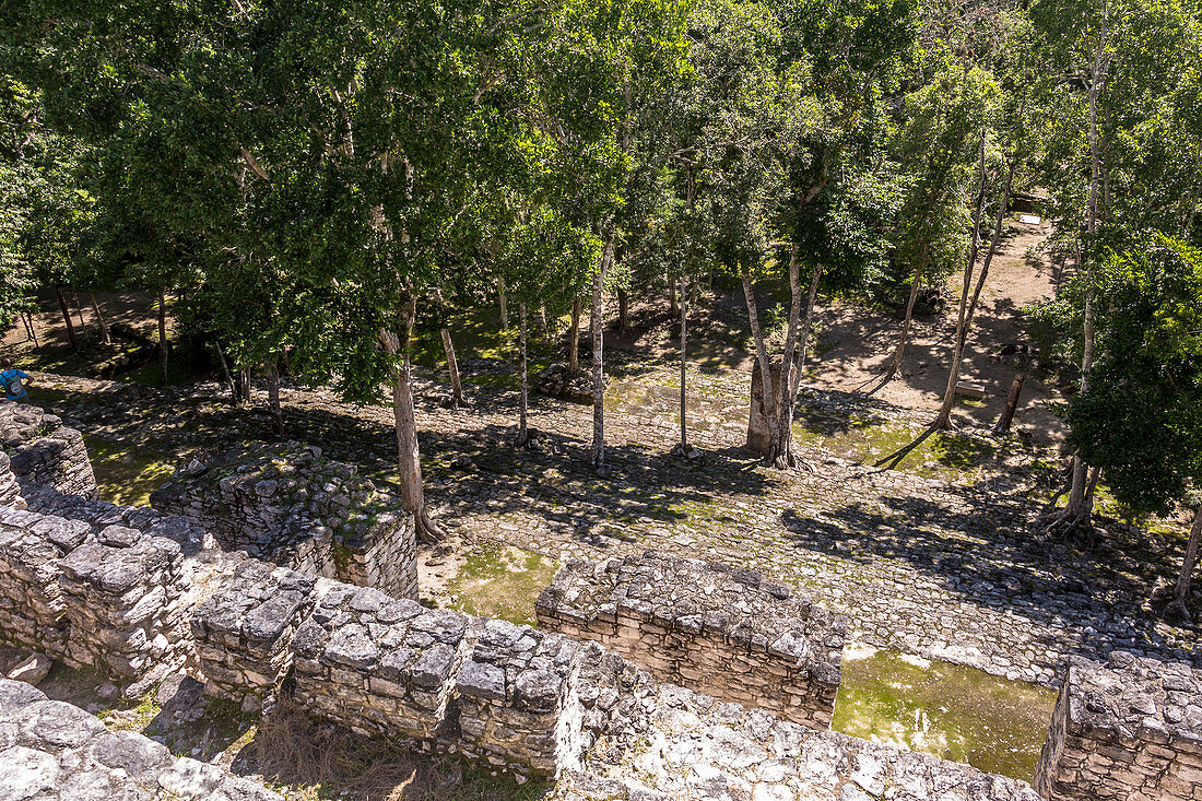 Stairs of Mayan pyramid on Calakmul temple grounds in the jungle, Yucatan Peninsula, Mexico