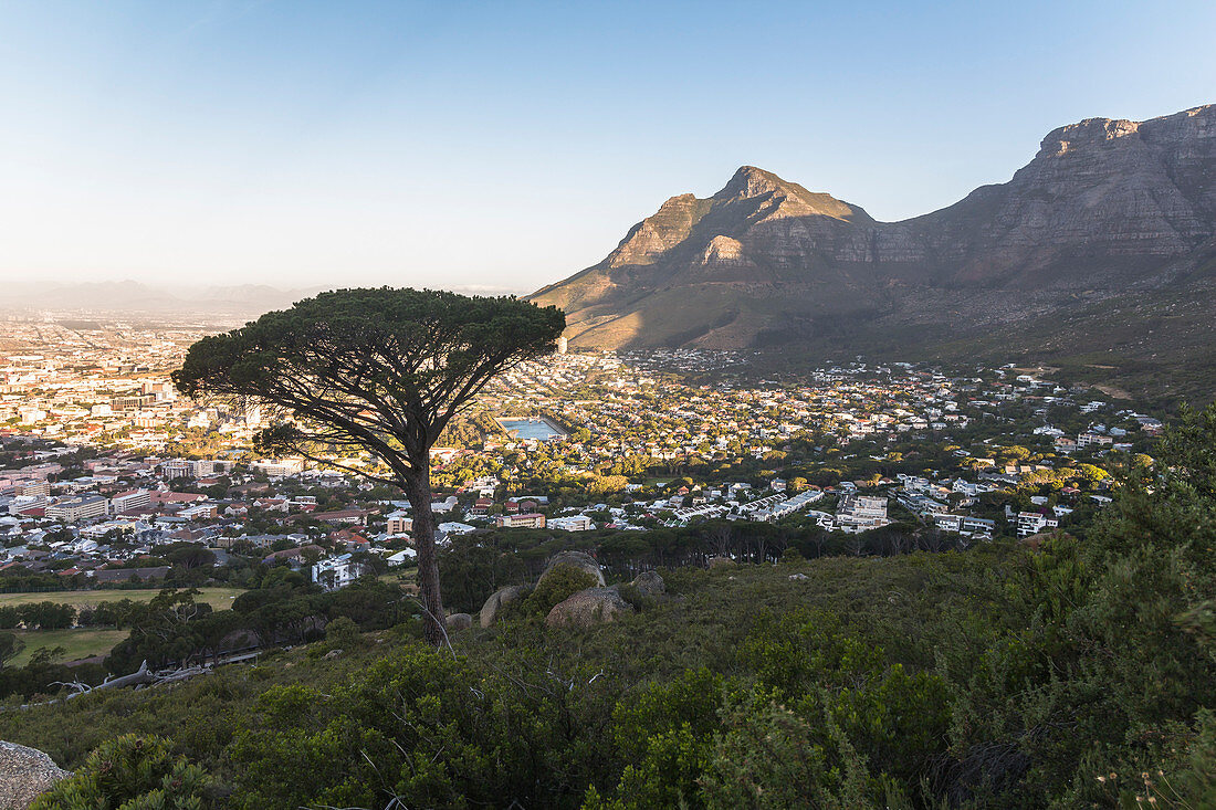 Sicht von Signal Hill Aussichtspunkt über Kapstadt im Abendlicht, Südafrika