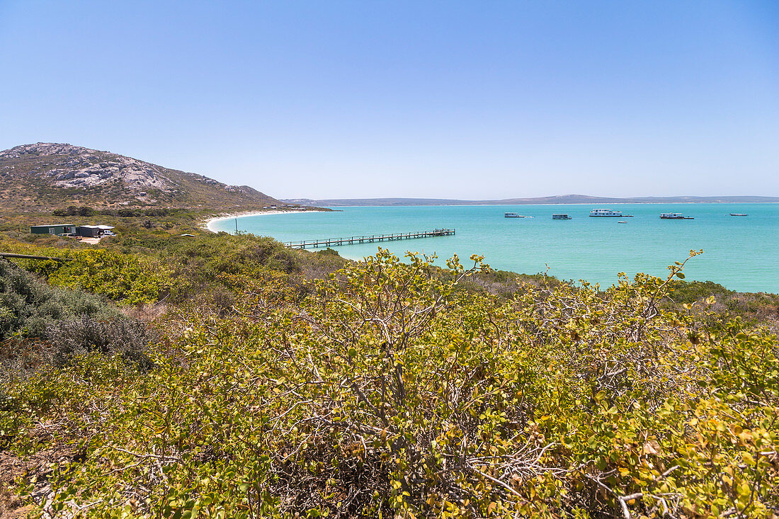 Lagune mit türkisblauem Wasser im West Coast Nationalpark, Westkap, Südafrika