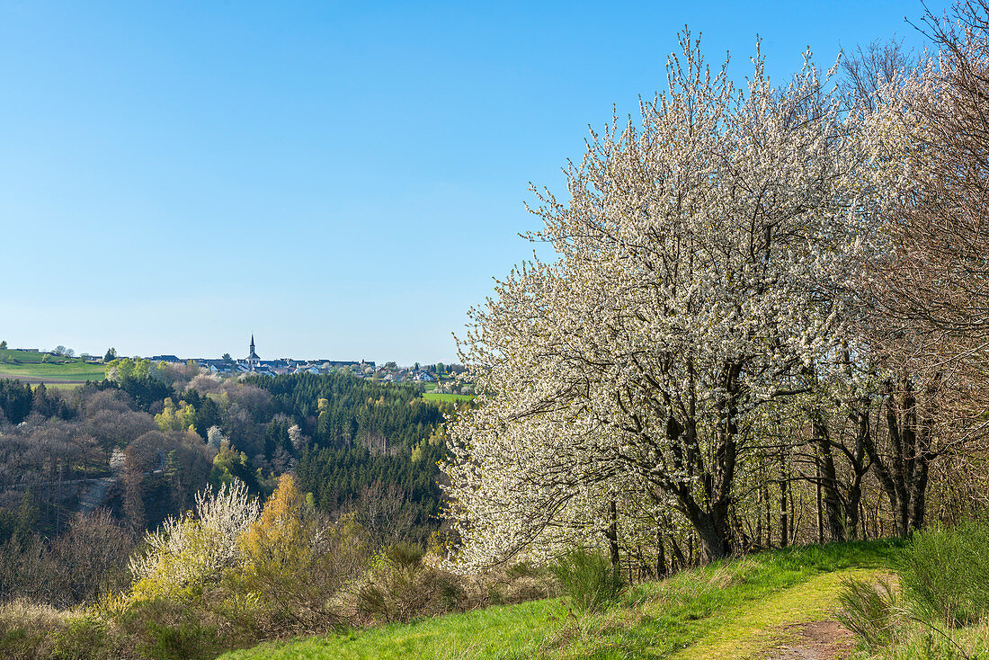 View of Beuren, Hunsrück, Rhineland-Palatinate, Germany