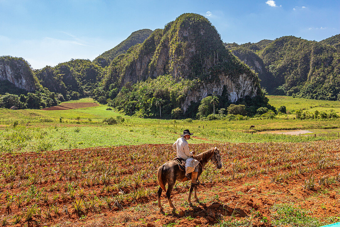 Reiter mit Zigarre im Vinales Tal ("Valle de Vinales"), Pinar del Rio Provinz, Kuba