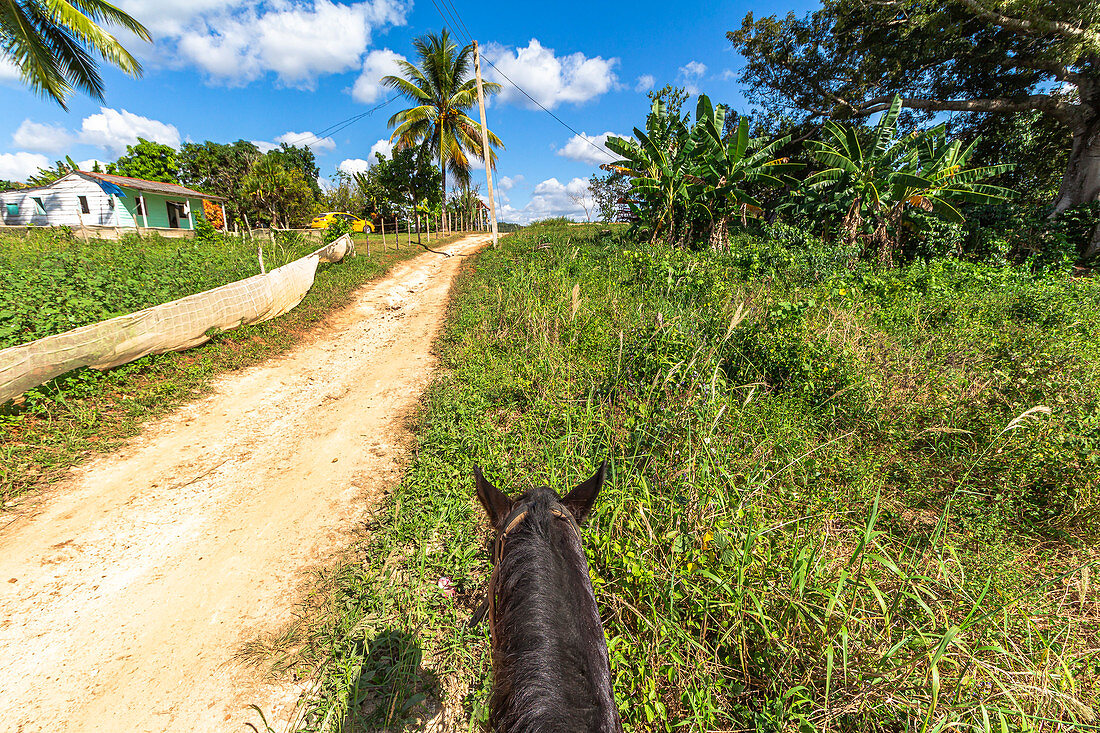 Horse riding in the Vinales Valley (&quot;Valle de Vinales&quot;), Pinar del Rio Province, Cuba