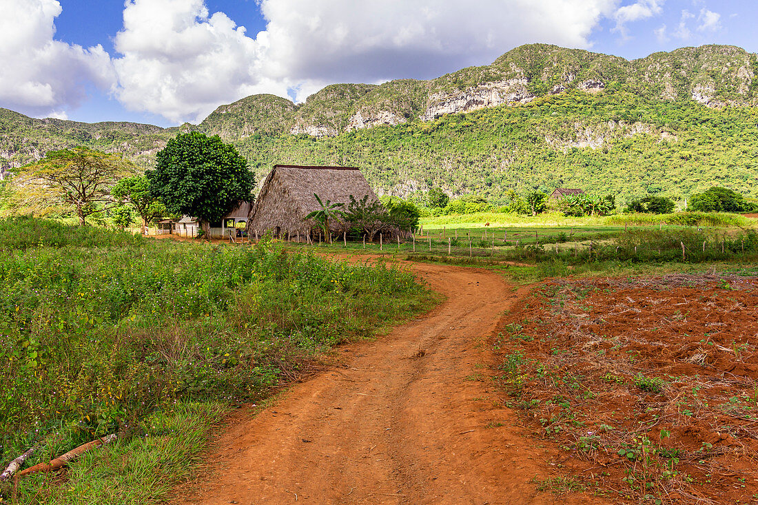 Landschaft und ländliches Leben auf Wanderweg im Vinales Tal ("Valle de Vinales"), Pinar del Rio Provinz, Kuba