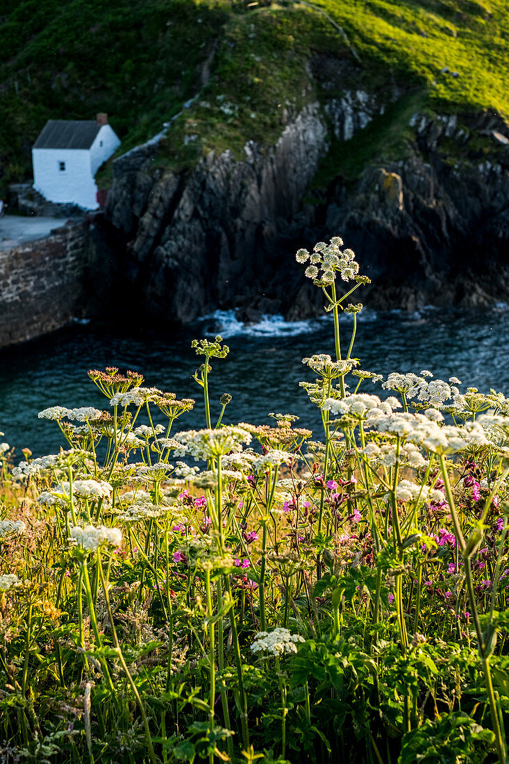 View of the small harbour of Porthgain on the Pembrokeshire Coast, Wales, UK.