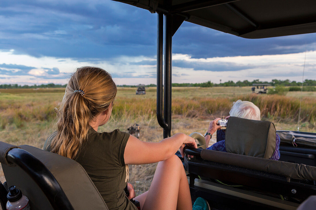 Ein junges Mädchen und ein älterer Mann sitzen in einem Safari-Jeep und beobachten ein Rudel Wildhunde