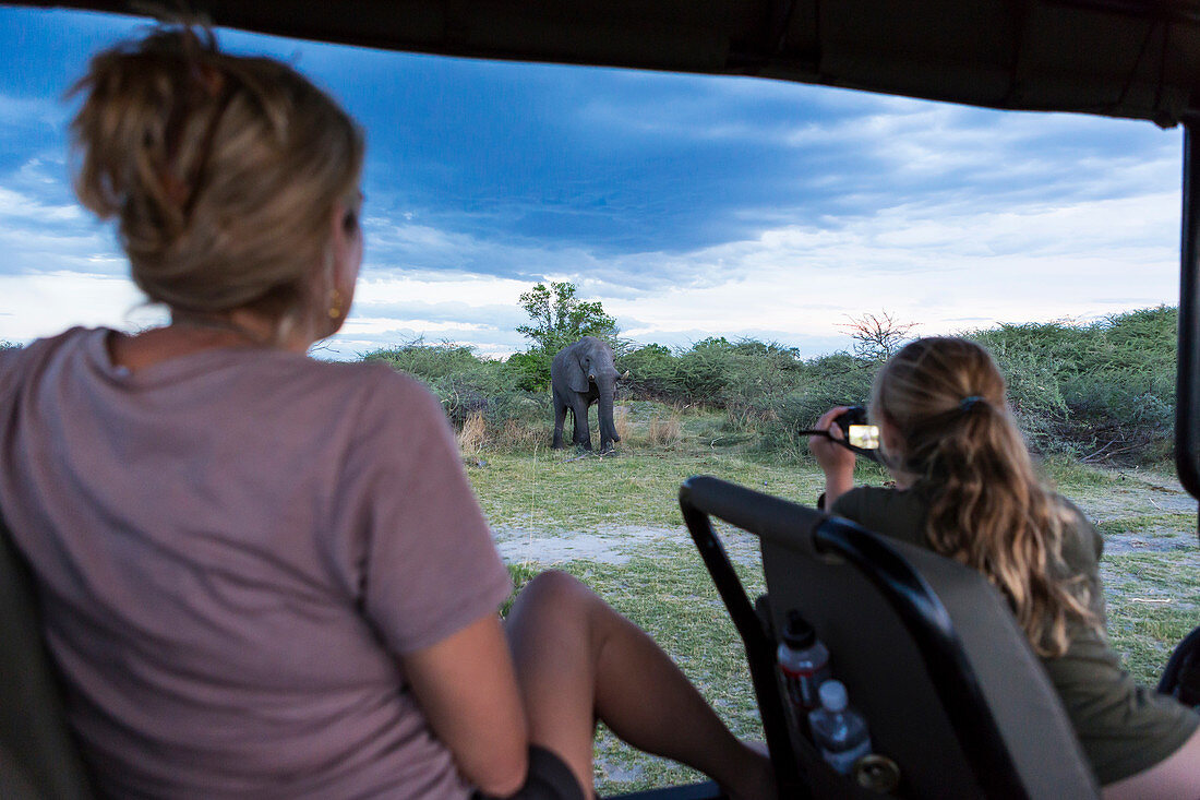 Zwei Personen in einem Safari-Jeep, eine Frau und ein junges Mädchen, mit Videokamera machen Aufnahmen von einem ausgewachsenen Elefanten