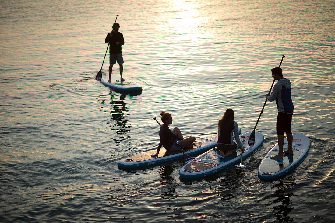 Mehrere Personen auf Paddle Boards bei Sonnenuntergang (Aufsicht)