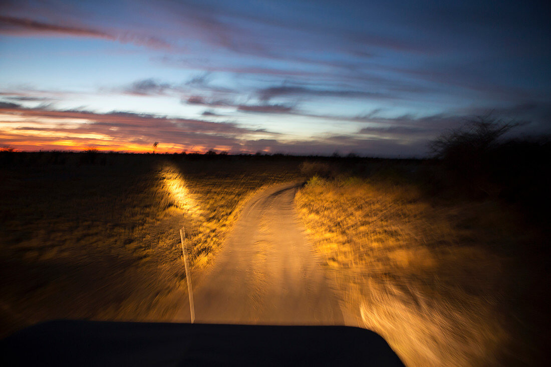 Die Scheinwerfern eines Jeeps beleuchten einen Feldweg in der Kalahari-Wüste