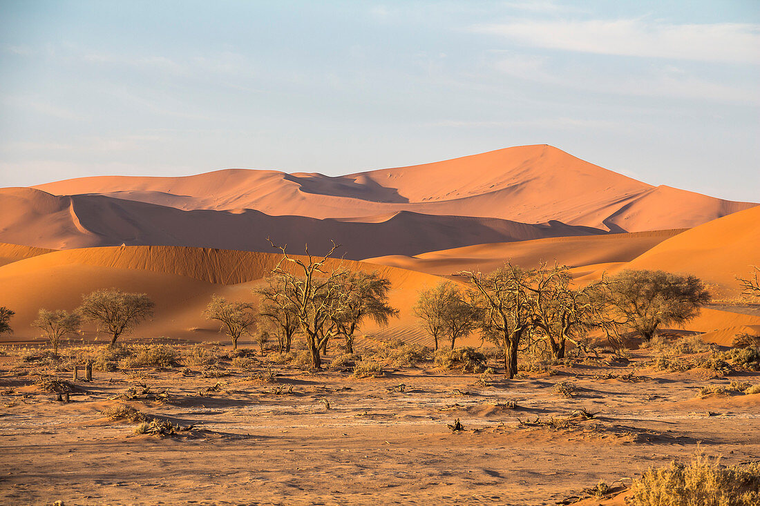 Dünenlandschaft im Sossusvlei im Morgenlicht, Sesriem, Namibia