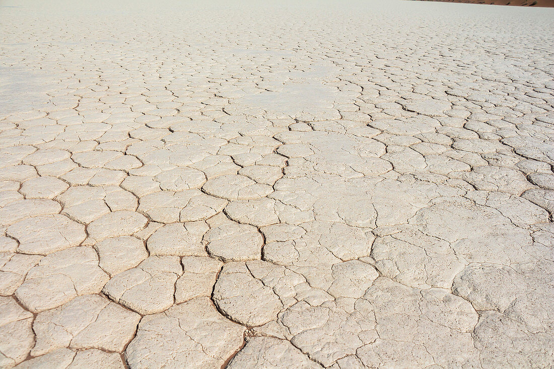Cracked floor of the Deadvlei (white salt-clay pan), Sossusvlei, Sesriem, Namibia