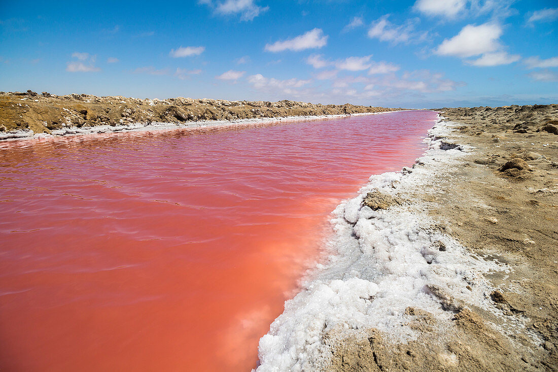Rosafarbener Wasserlauf bei Entsalzungsanlage in Walvis Bay / Walfischbucht, Namibia