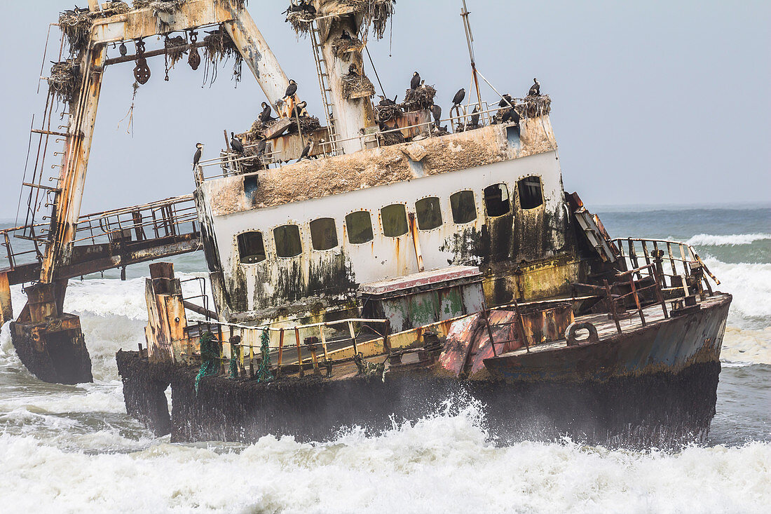 Zeila Schiffswrack / Geisterschiff an der Skeleton Coast nahe Henties Bay, Namibia