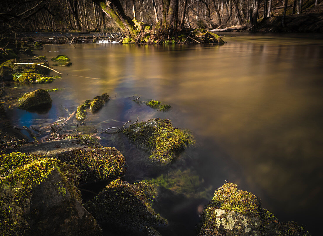 Long exposure of the Würm river near Gauting. Stones and roots are in the worm. Gauting, Starnberg, Upper Bavaria, Bavaria, Germany, Europe