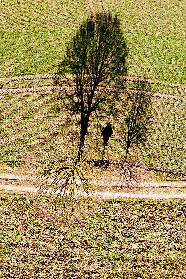 Luftaufnahme eines Feldweges mit Wegkreuz und Bäumen im Frühling, Oberbayern, Bayern, Deutschland, Europa
