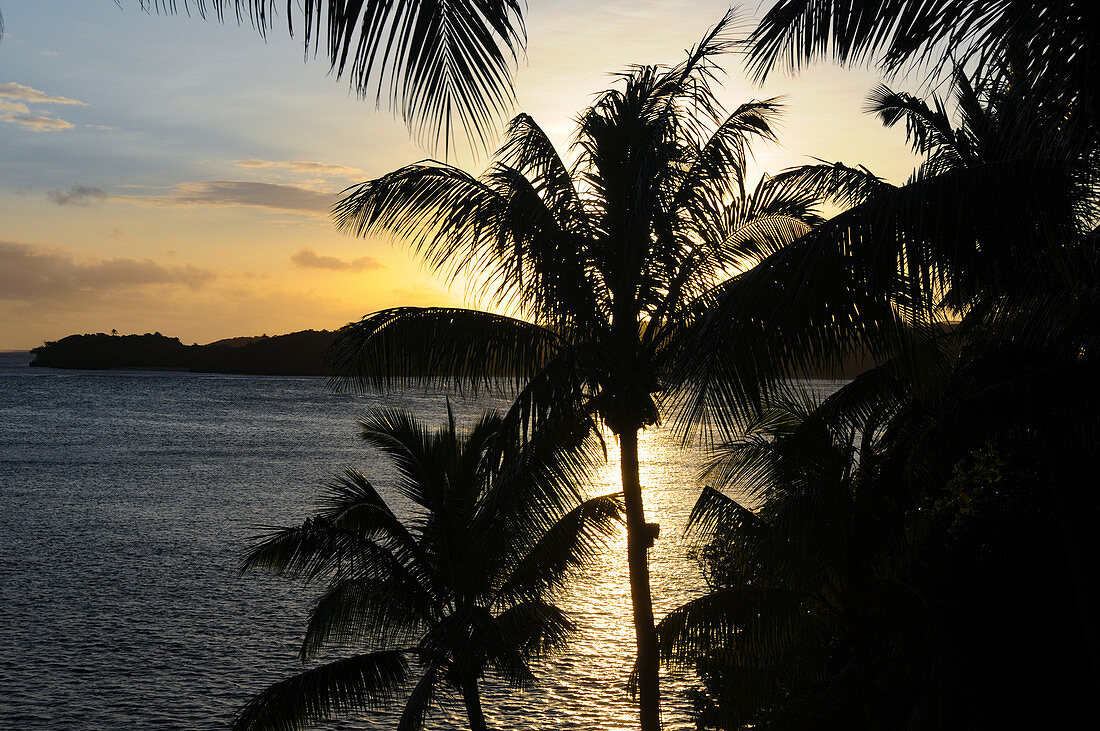 Sonnenuntergang mit Blick auf Palmen und Pazifischen Ozean, Fiji
