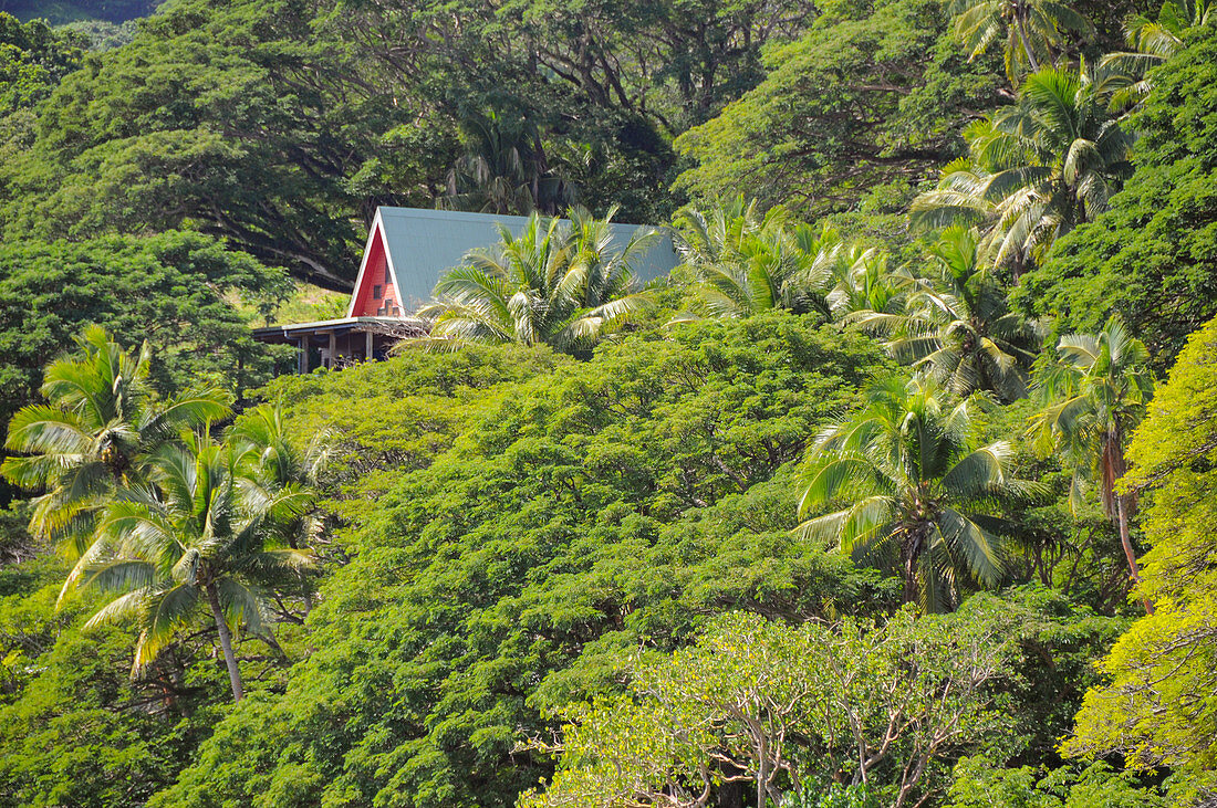 Traumvilla in den Hügeln, umgeben von üppiger Vegetation, Savusavu, Fiji Islands