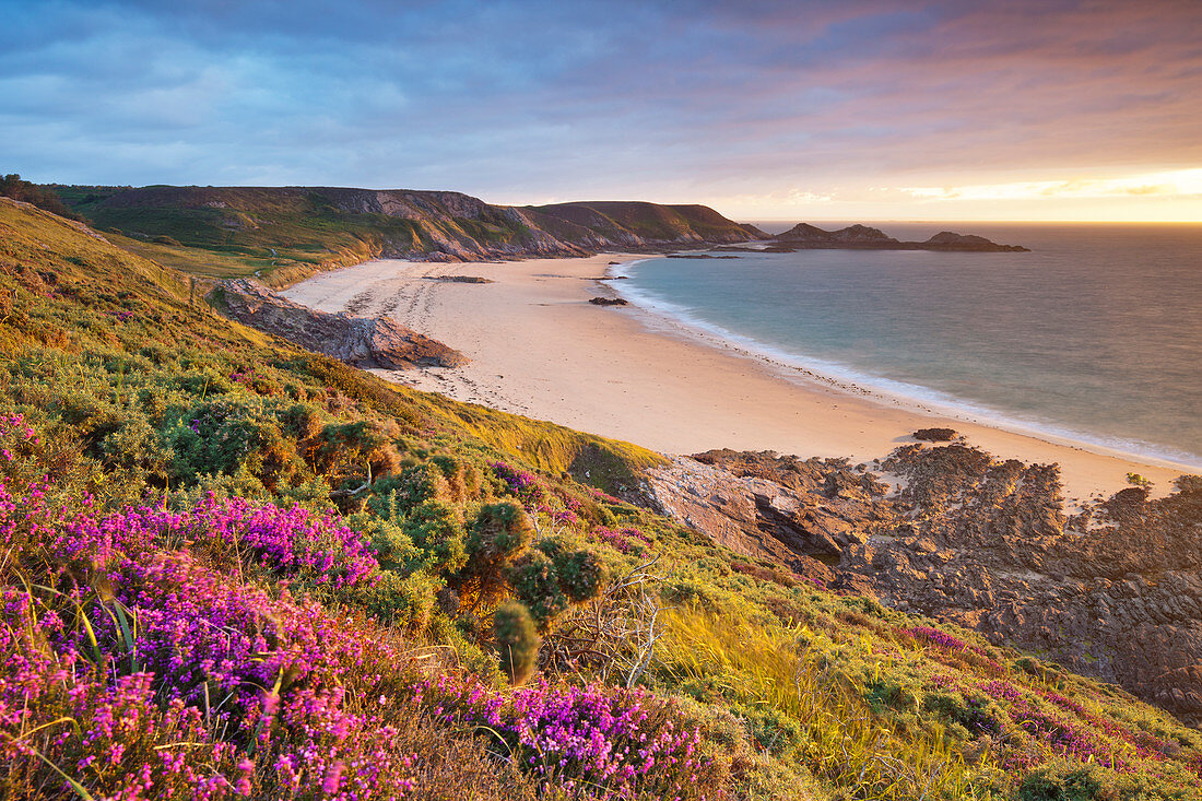 Heide und Strand am Cap Erquy an der Nordküste der Bretagne, Frankreich