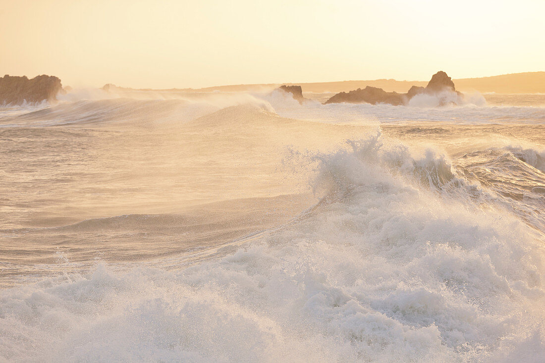 Huge waves at sunrise during storm Ciara raging on Cap de la Hague, Auderville, Cotentin Peninsula, Normandy