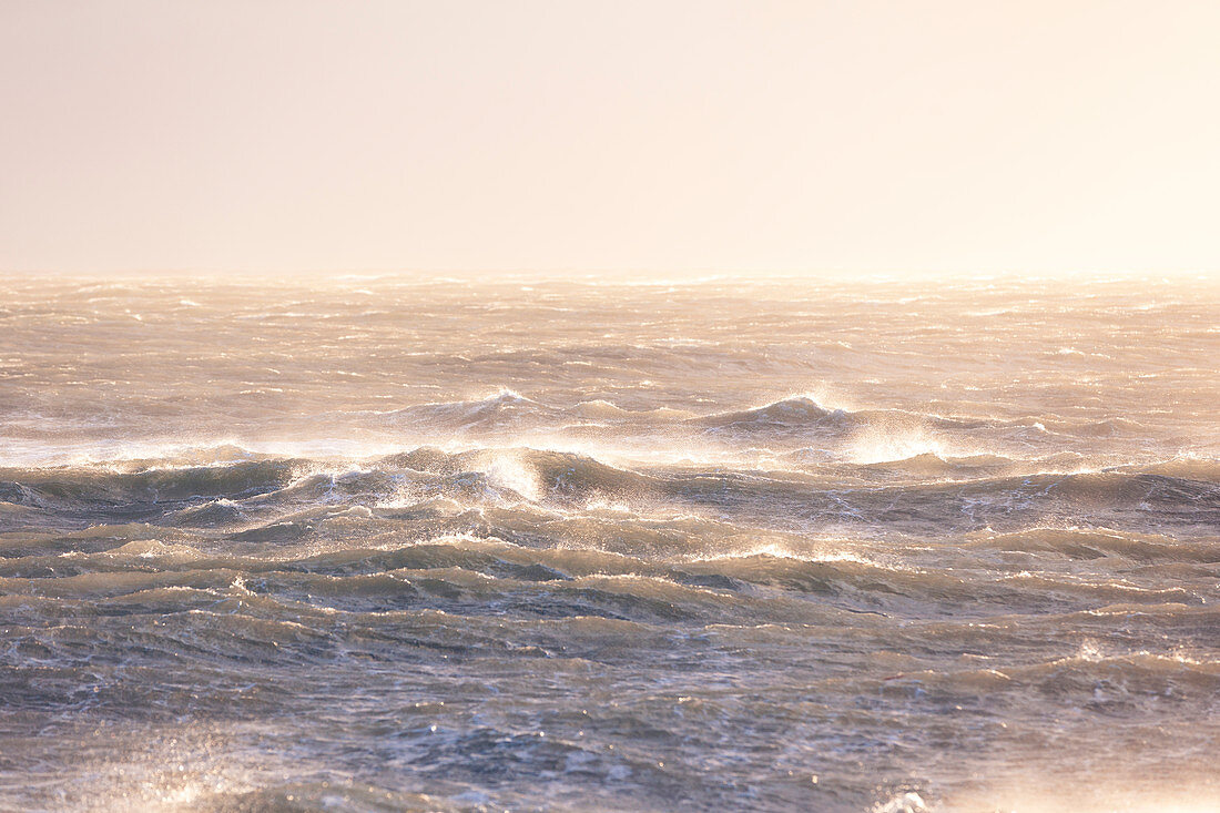 As if the sea were boiling, like here at Barfleur on a winter morning when the storm Atiyah swept over the cap at about 130 km / h. Pointe de Barfleur near the Gatteville lighthouse.