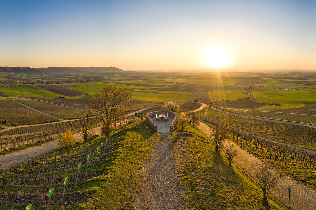 Sunset in the vineyards at Abtswind, Frankenblick, Kitzingen, Lower Franconia, Franconia, Bavaria, Germany, Europe