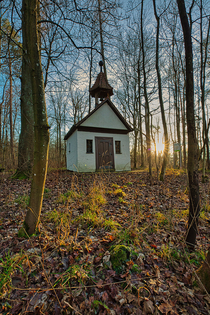 Chapel at the picture oak, Iphofen, Kitzingen, Lower Franconia, Franconia, Bavaria, Germany, Europe