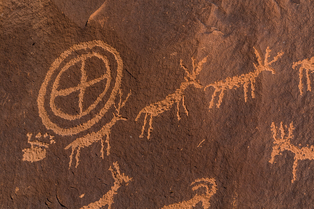 Petroglyphen von Hirschen, hergestellt vom Ute-Volk am Newspaper Rock im Indian Creek National Monument, ehemals Teil des Bears Ears National Monument, Süd-Utah, USA