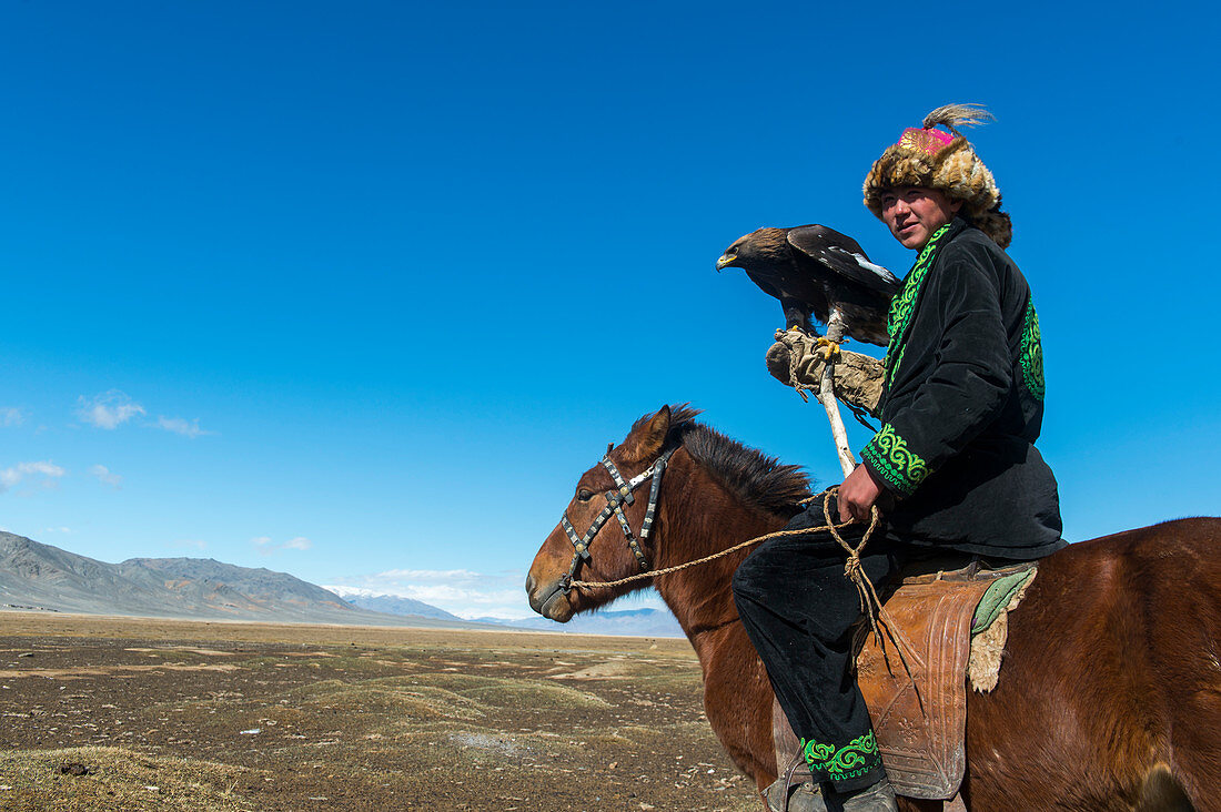 Ein kasachischer Adlerjäger zu Pferd mit seinem Steinadler (Aquila chrysaetos) im Sagsai-Tal im Altai-Gebirge nahe der Stadt Ulgii (Ölgii) in der Provinz Bajan-Ölgii in der Westmongolei