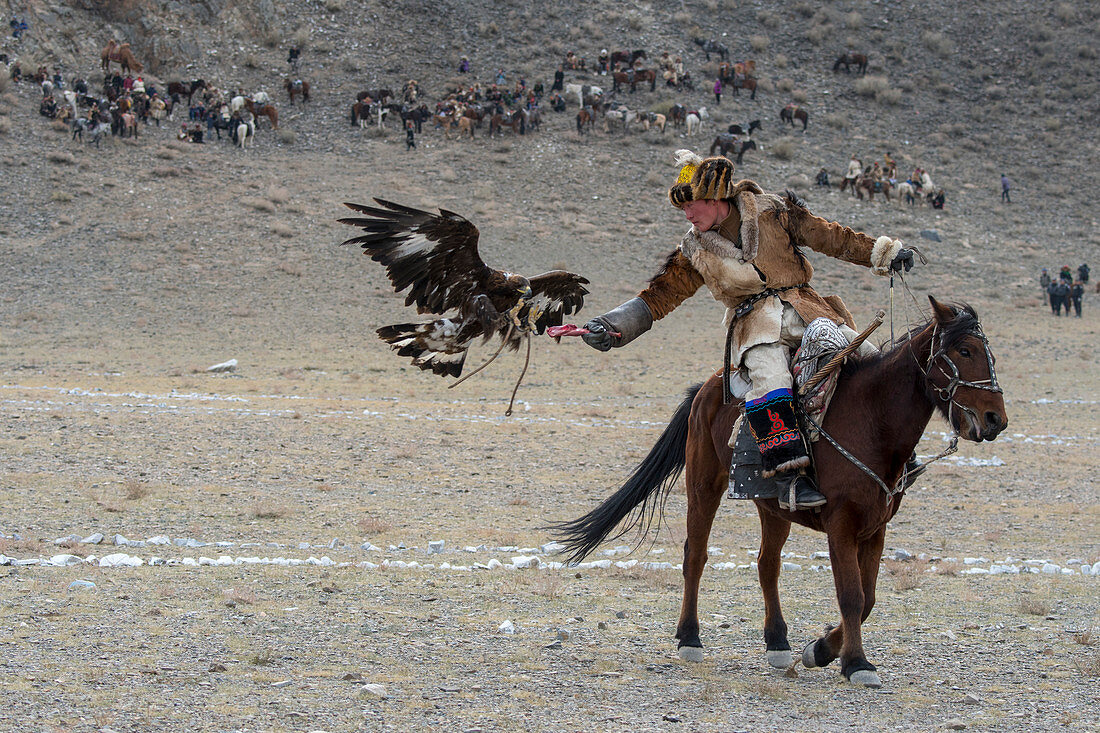 The eagle calling competition (After the eagle is released from a mountain top it to land on the hand of the hunter) at the Golden Eagle Festival near the city of Ulgii (Ölgii) in the Bayan-Ulgii Province in western Mongolia.