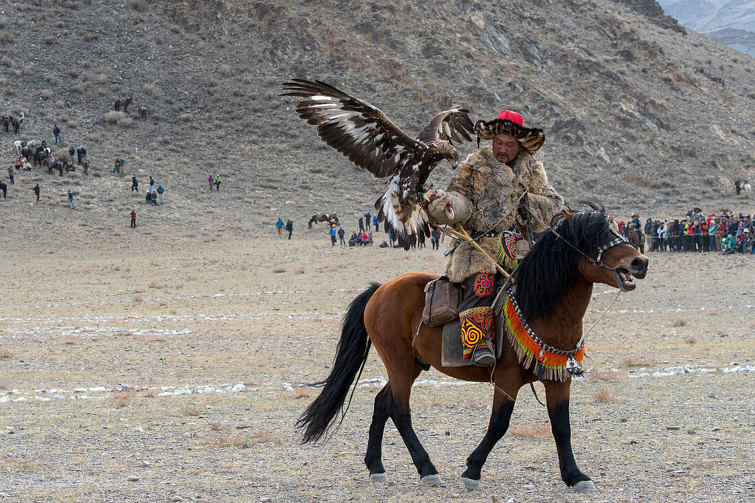 Der Adlerrufwettbewerb (nachdem der Adler von einem Berggipfel freigelassen wurde, landet er auf der Hand des Jägers) beim Golden Eagle Festival in der Nähe der Stadt Ulgii (Ölgii) in der Provinz Bajan-Ölgii in der Westmongolei