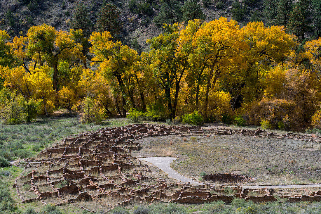 Remnants of Tyuonyi Pueblo in Frijoles Canyon, Bandelier National Monument near Los Alamos, New Mexico, USA.