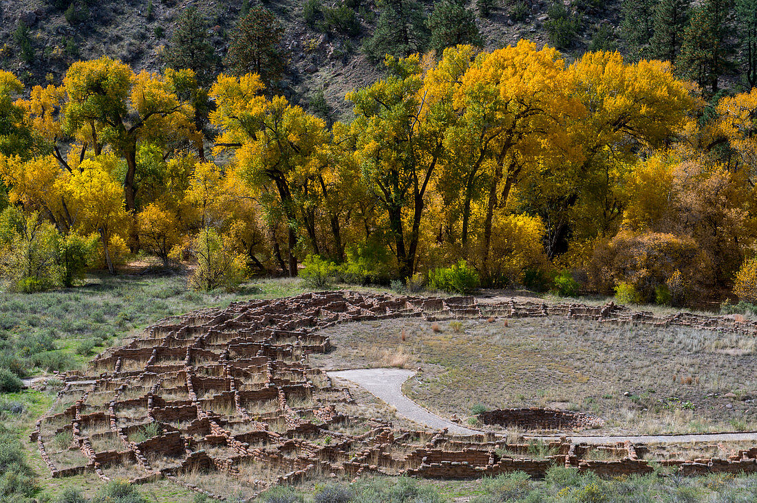Überreste des Tyuonyi-Pueblo im Frijoles-Canyon, Bandelier-Nationaldenkmal bei Los Alamos, New Mexico, USA
