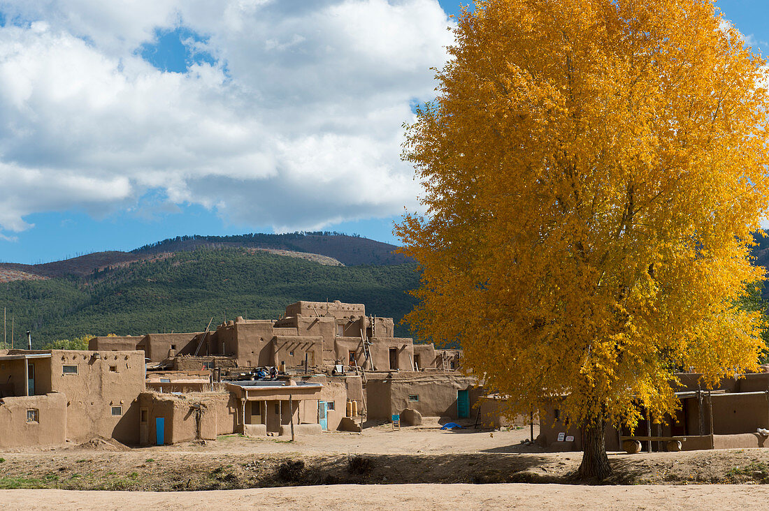 Trees with fall colors at the Taos Pueblo which is the only living Native American community designated both a World Heritage Site by UNESCO and a National Historic Landmark in Taos, New Mexico, USA.