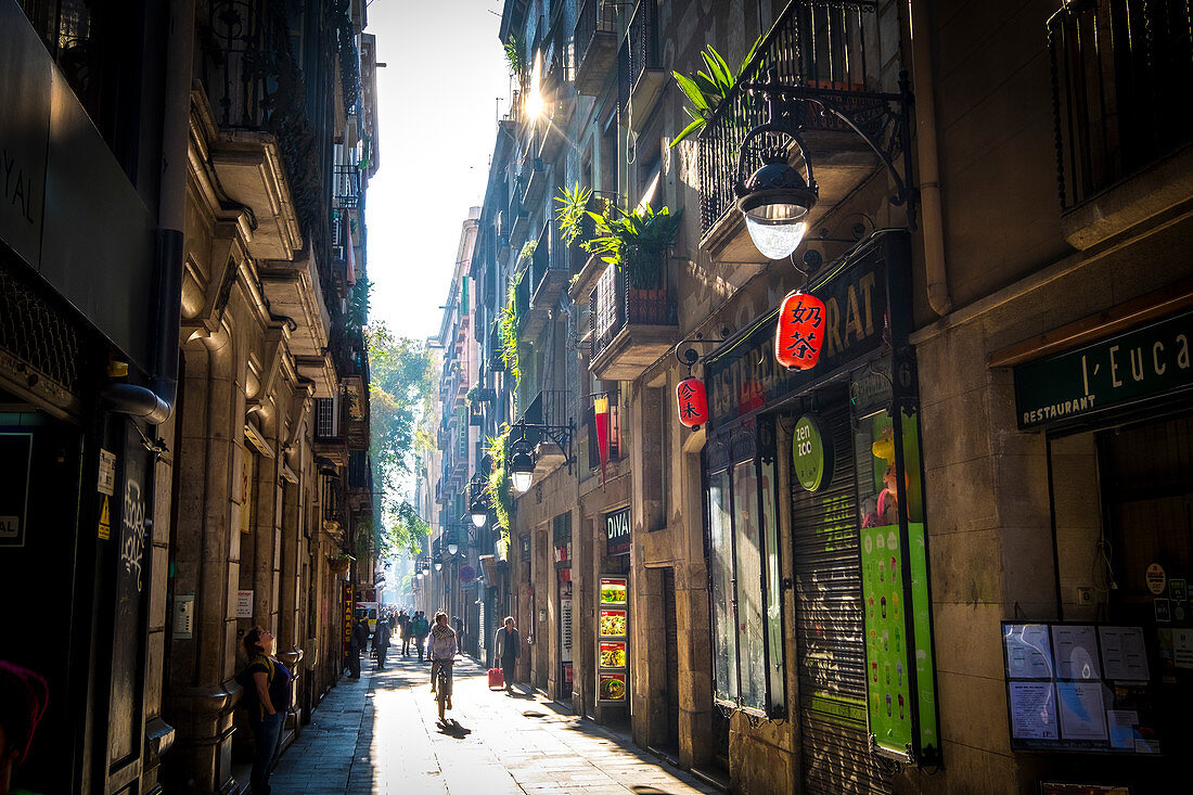 Street in Raval in Ciutat Vella district in Barcelona Catalonia Spain