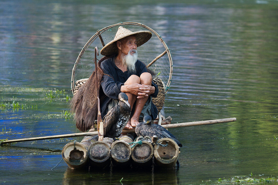 Cormorant Fisherman resting on Bamboo Raft Guilin Region Guangxi, China LA008337