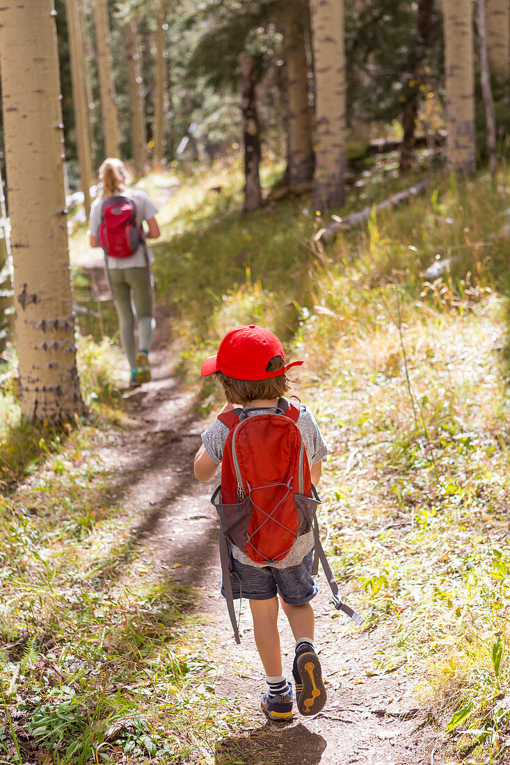 rear view of children walking on nature trail
