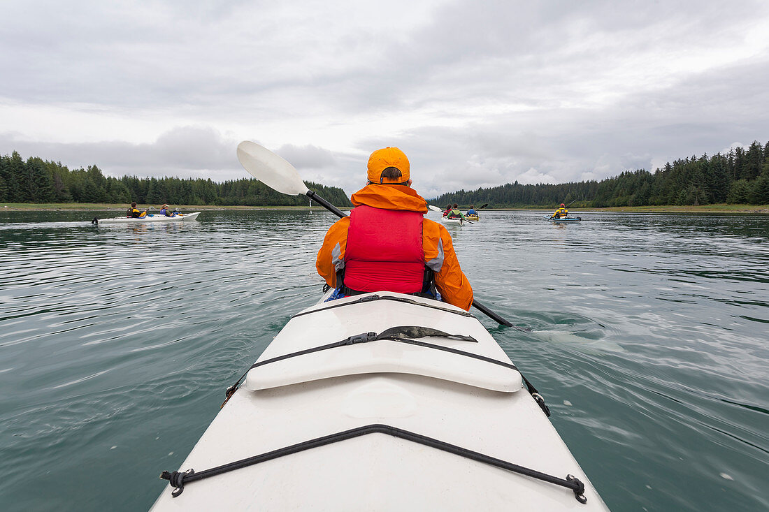 Eine kleine Gruppe von Menschen mit Kajaks unterwegs in einer Bucht an der Küste Alaskas
