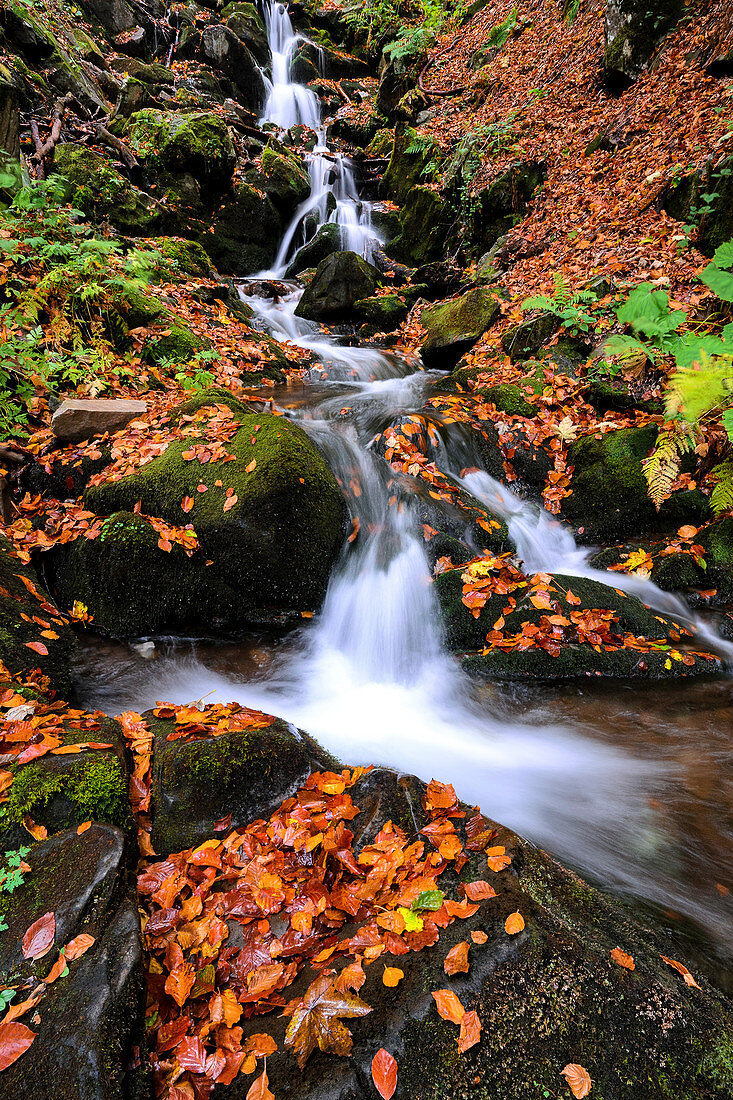 Ukraine, Region Transkarpatien, Karpaten, Werchnij Schepit Wasserfall, verschwommener Wasserfall in der Herbstlandschaft