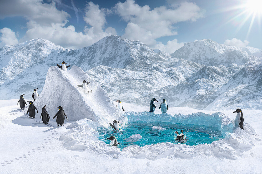 Pinguine spielen auf Rutsche und im Pool