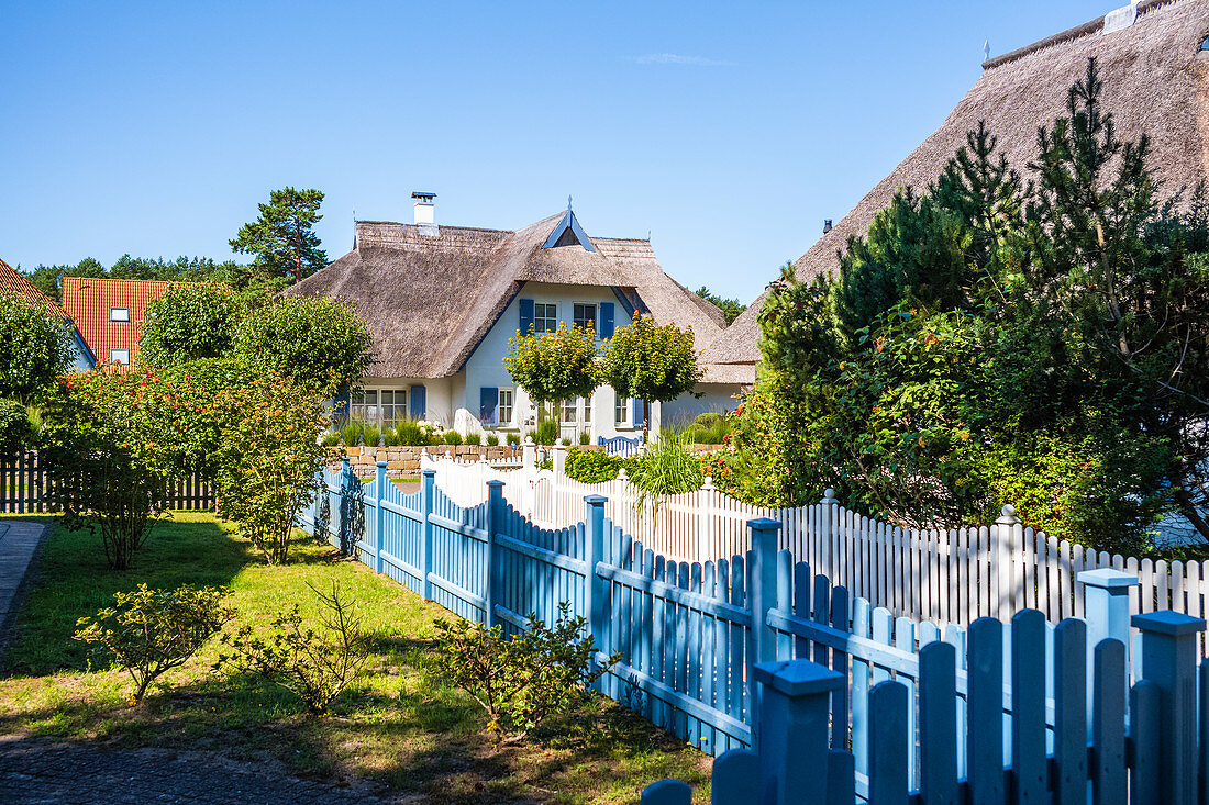 Reethäuser mit Garten in Karlshagen am Morgen, Usedom, Mecklenburg-Vorpommern, Deutschland