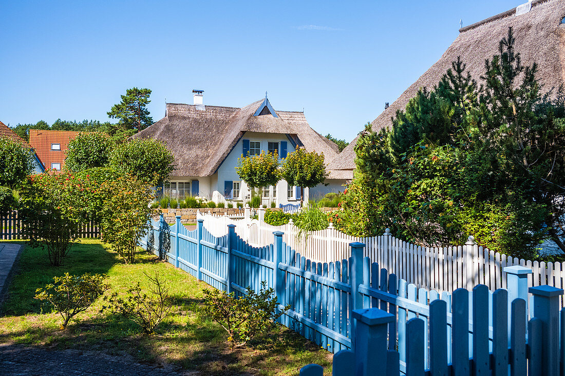 Thatched houses with a garden in Karlshagen in the morning, Usedom, Mecklenburg-Western Pomerania, Germany
