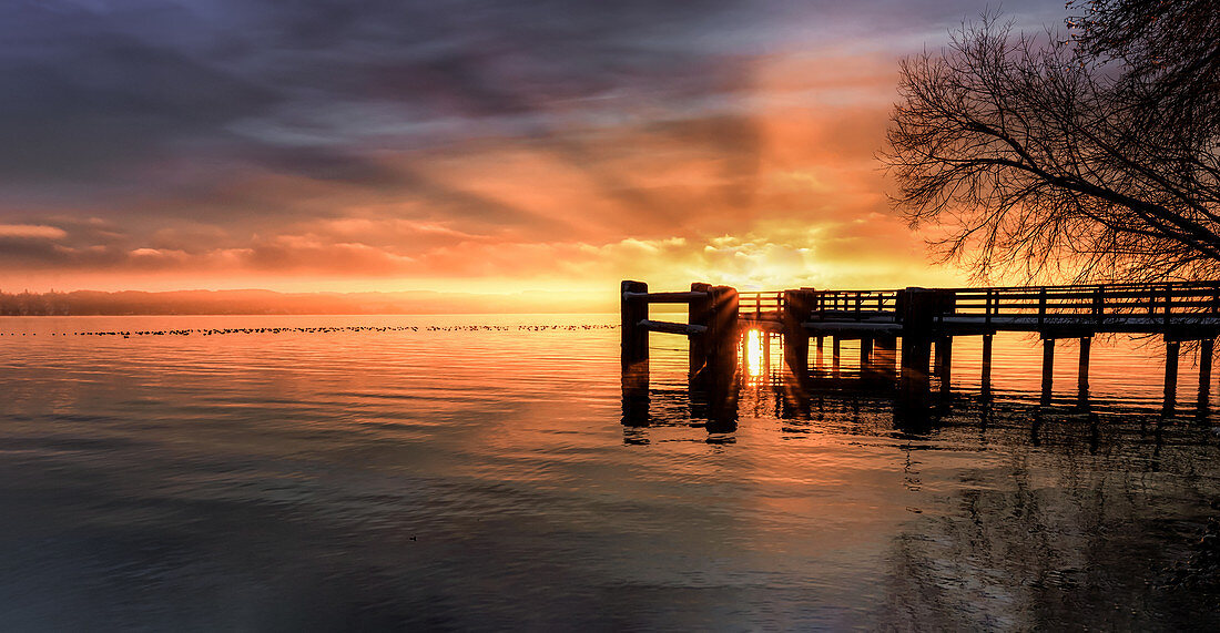 Sonnenaufgang am Steg, Starnberger See, Bernried, Bayern, Deutschland