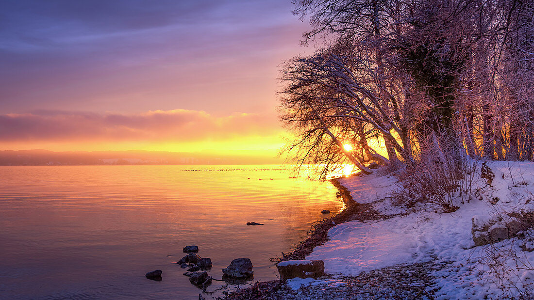 Winter morning with snow at sunrise on Lake Starnberg, Bernried, Bavaria, Germany