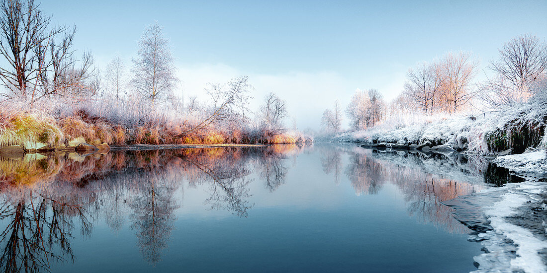 Hoarfrost on reeds and trees on the side of the Loisach bank, Bavaria, Germany