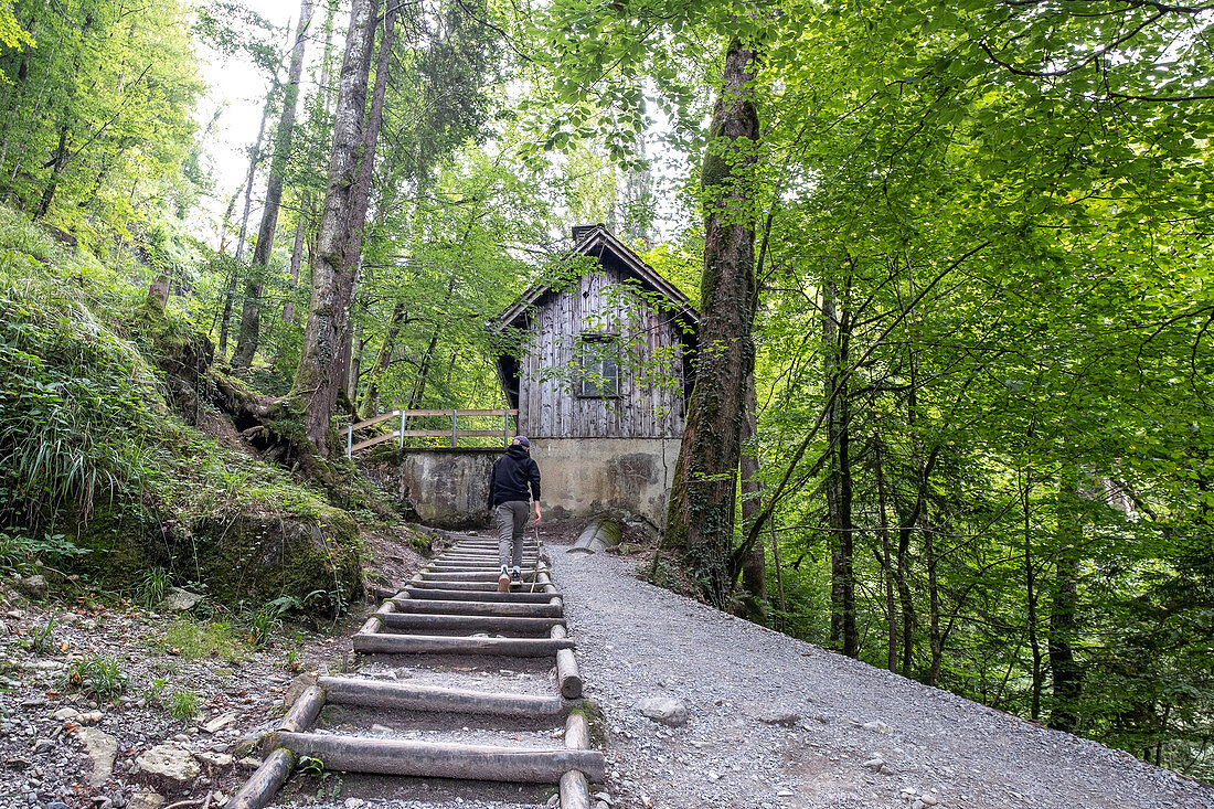 Hiking trail in the Rappenloch Gorge, Dornbirn, Vorarlberg, Austria, Europe