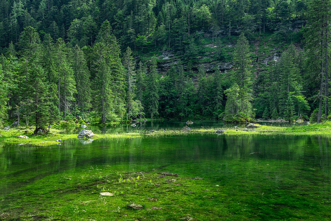 Idyllische Lage der Gosaulacke, Mittlerer See der Gosauseen, Salzkammergut, Oberösterreich, Österreich