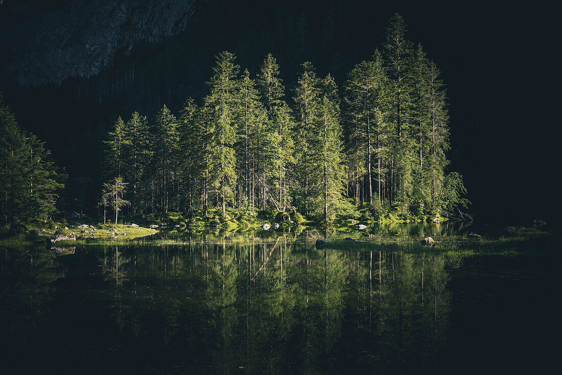 Stimmungsvoller Bergsee (Gosaulacke) mit Nadelbäumen am Ufer, Salzkammergut, Oberösterreich, Österreich