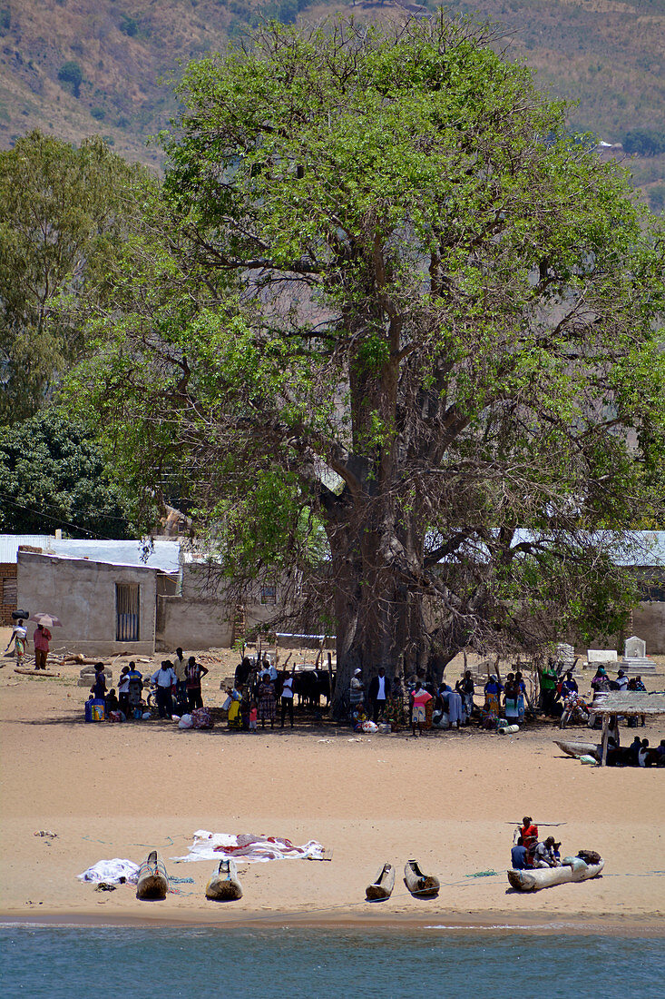 Malawi; Northern Region; Malawi lake; Usisya; Stopping point of the Ilala; fishing boats are on the beach; Passengers wait for transport to the Ilala under a large, shady tree