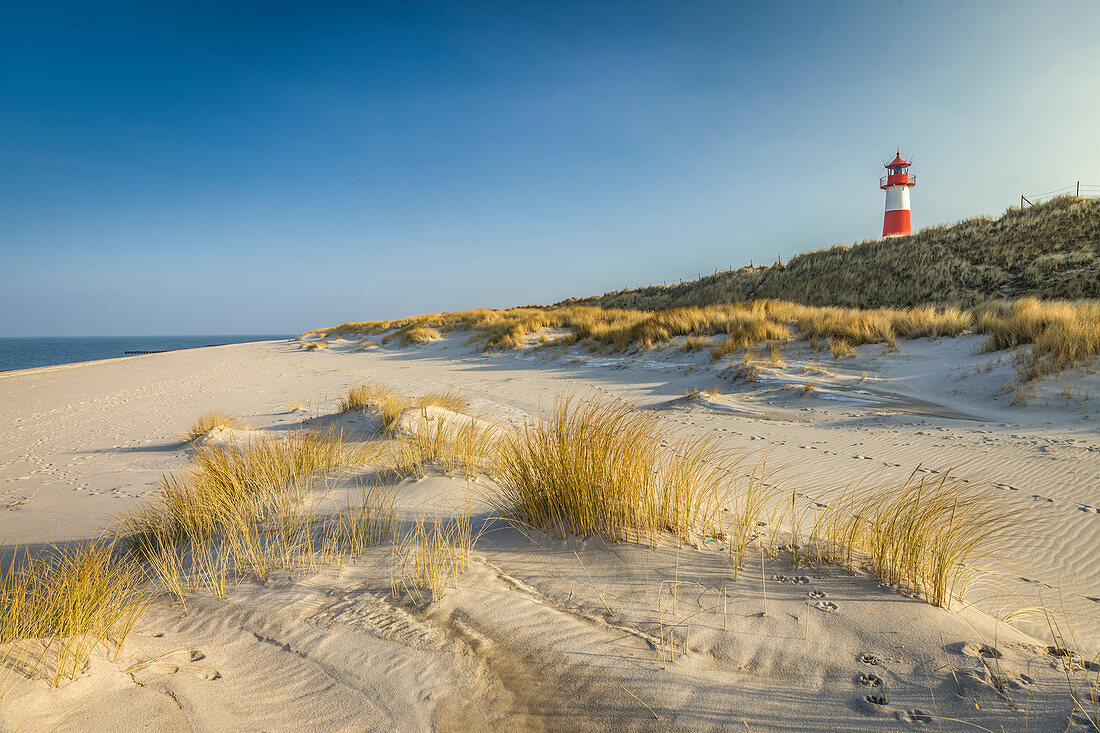 Leuchtturm List-Ost und Strand auf der Ellenbogen-Halbinsel, Sylt, Schleswig-Holstein, Deutschland