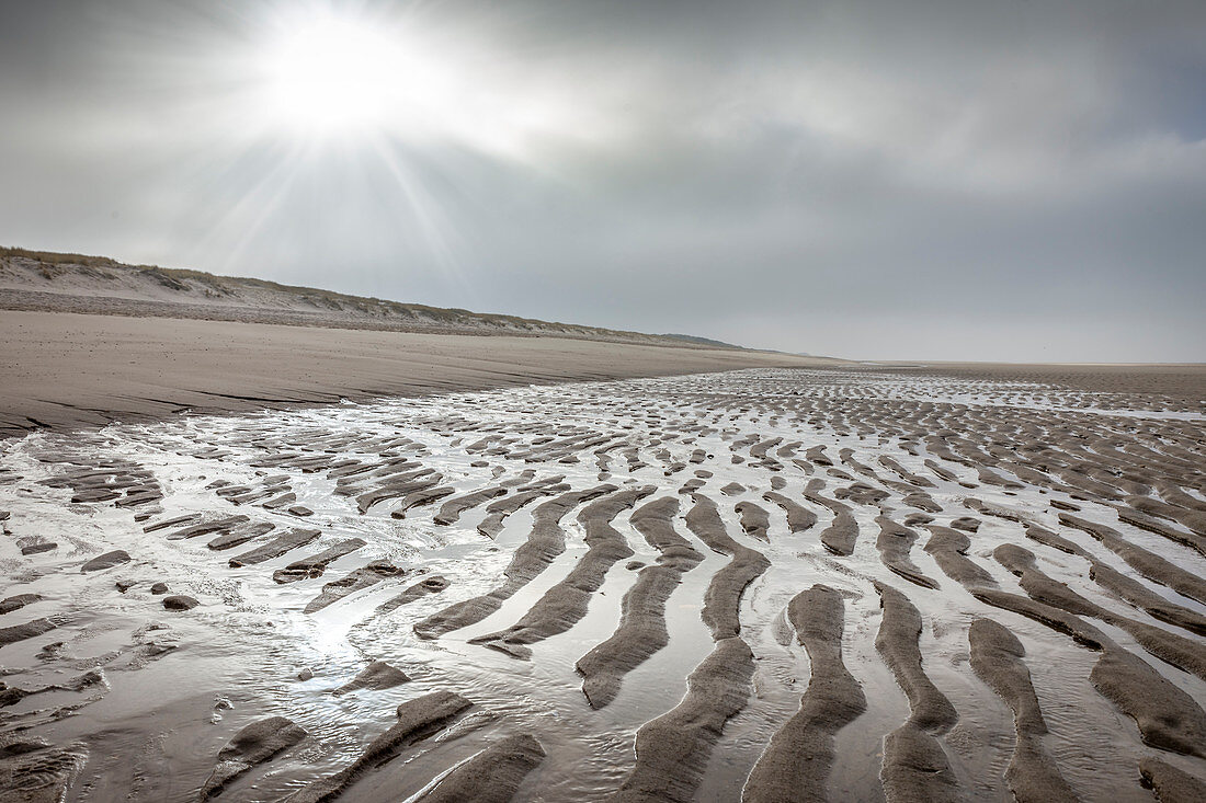 Wadden coast near Rantum, Sylt, Schleswig-Holstein, Germany